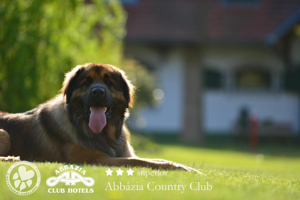 Abbazia Country Club Hotel Nemesnép Exterior foto